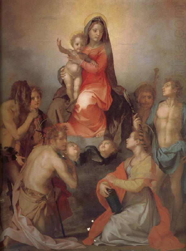 Andrea del Sarto The Virgin and Child with Saints china oil painting image